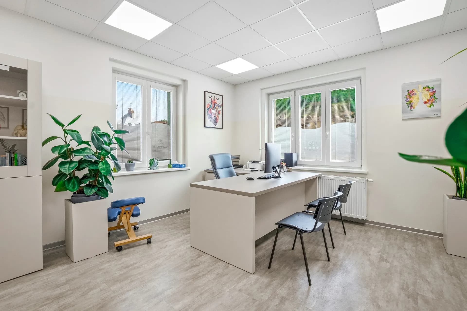 Pulmonology — Ústí nad Labem