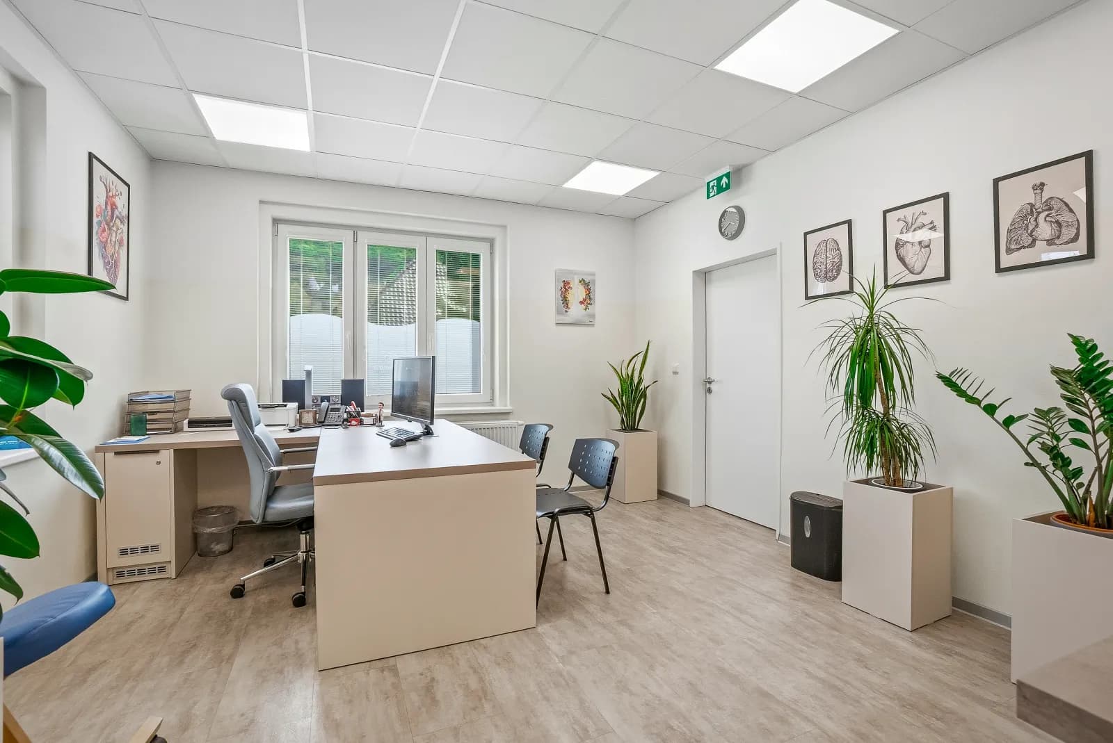 Klinika Pulmonology v Ústí nad Labem 5